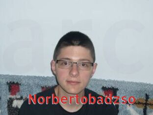 Norbertobadzso