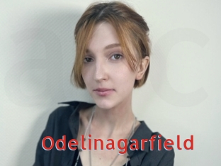 Odelinagarfield