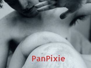 PanPixie