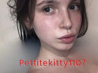 Pettitekitty1107