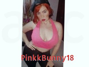 PinkkBunny18