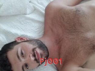 Pj001
