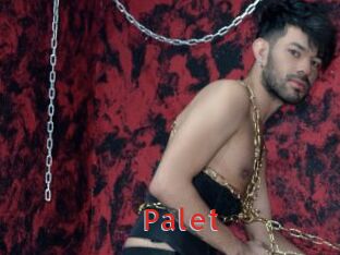 Palet