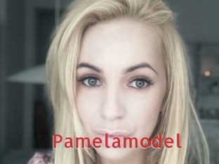 Pamelamodel