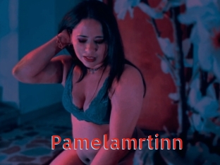 Pamelamrtinn