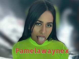 Pamelawaynex