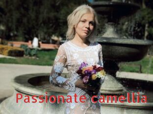 Passionate_camellia