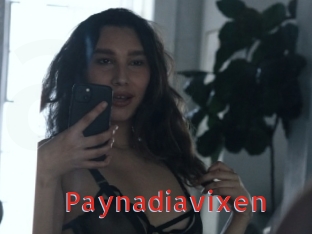 Paynadiavixen