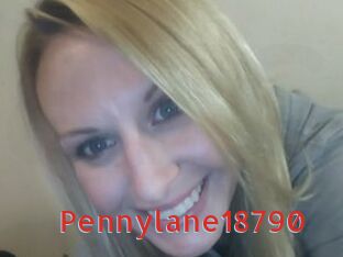 Pennylane18790