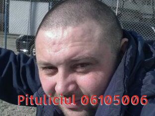 Pituliciul-06105006