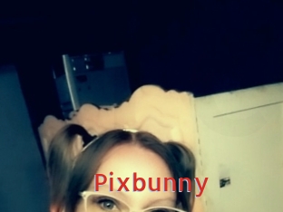 Pixbunny