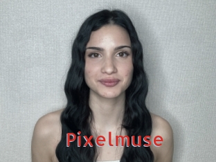 Pixelmuse