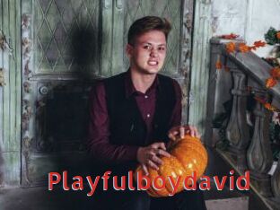 Playfulboydavid