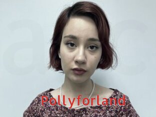 Pollyforland