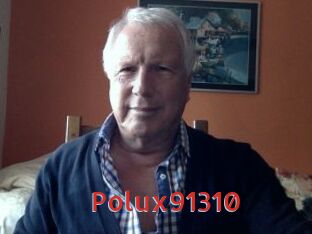 Polux91310