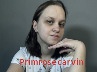Primrosecarvin