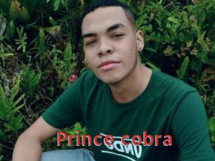 Prince_cobra