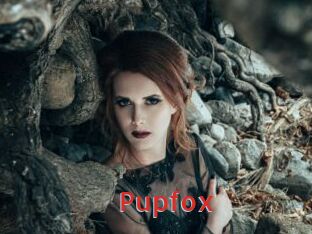 Pupfox