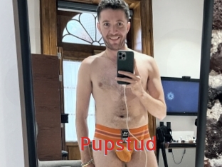 Pupstud