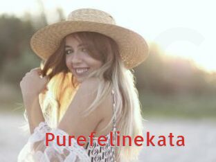 Purefelinekata