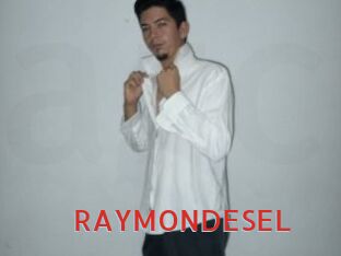 RAYMONDESEL