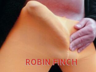ROBIN_FINCH