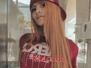 Raaccon