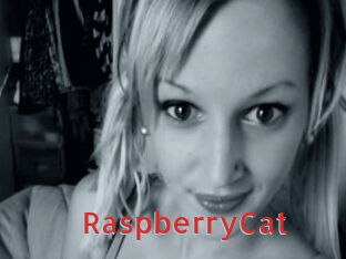 RaspberryCat