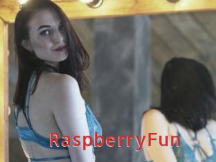 RaspberryFun