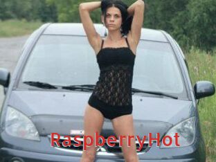 Raspberry_Hot