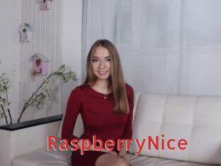 RaspberryNice
