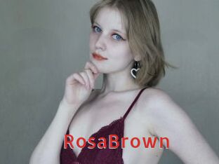 RosaBrown
