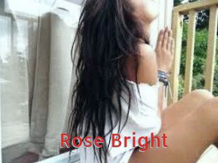 Rose_Bright_