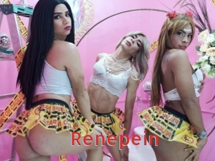 renepein Archive DVD NET