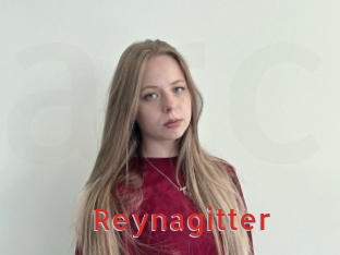 Reynagitter