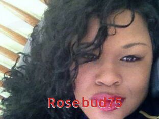 Rosebud75