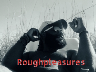 Roughpleasures