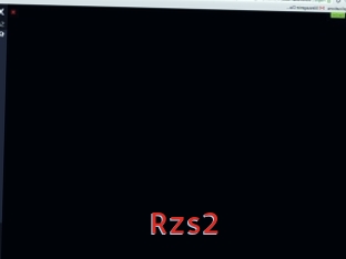 Rzs2