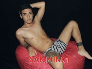 SAMMINK1