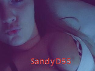 SandyD55