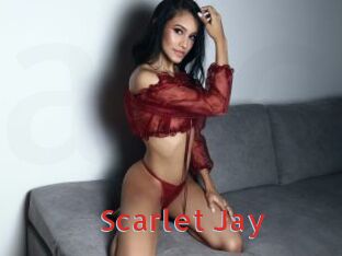 Scarlet_Jay