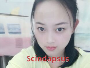 Scindapsus