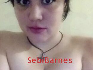 Sebi_Barnes