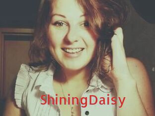 ShiningDaisy