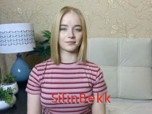 SilinBekk