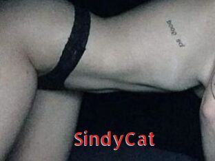 SindyCat