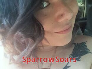 SparrowSoars