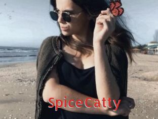 SpiceCatty