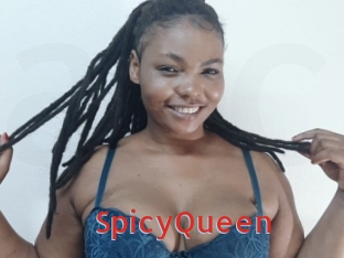 SpicyQueen Archive DVD NET