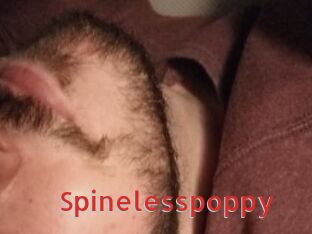 Spinelesspoppy